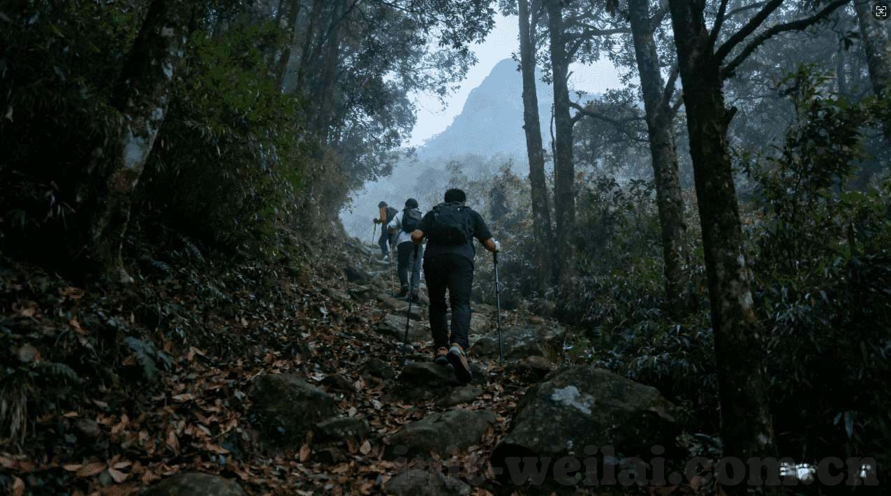 开云体育是什么-开云体育，一项多领域融合的新兴运动探索
